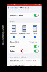 notification in iphone