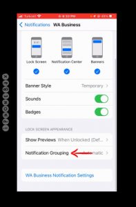 notification in iphone